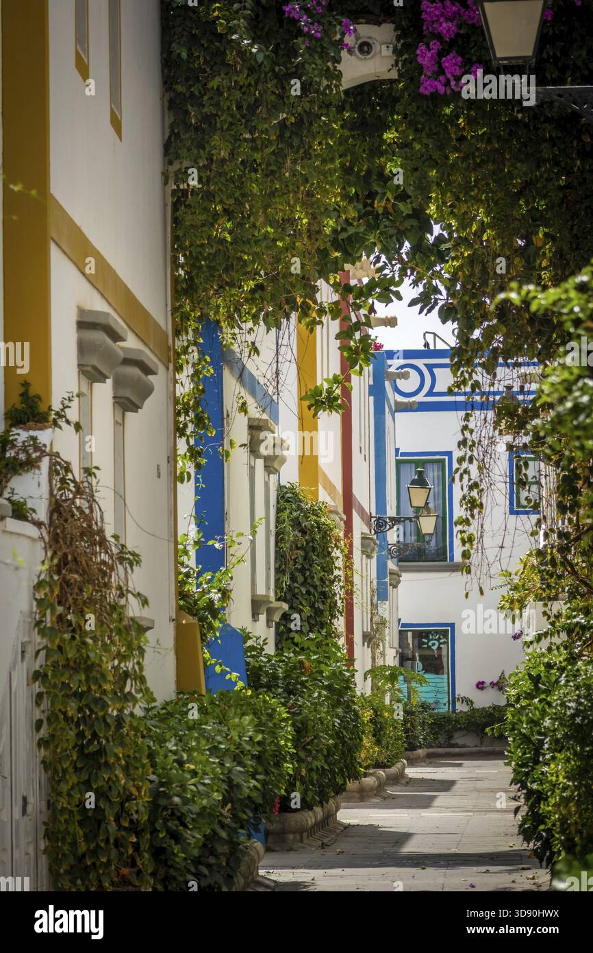 Vicolo pedonale nella zona del porto di Puerto de Mogan, un piccolo porto di pesca in Gran Canaria Isole Canarie Spagna Foto Stock