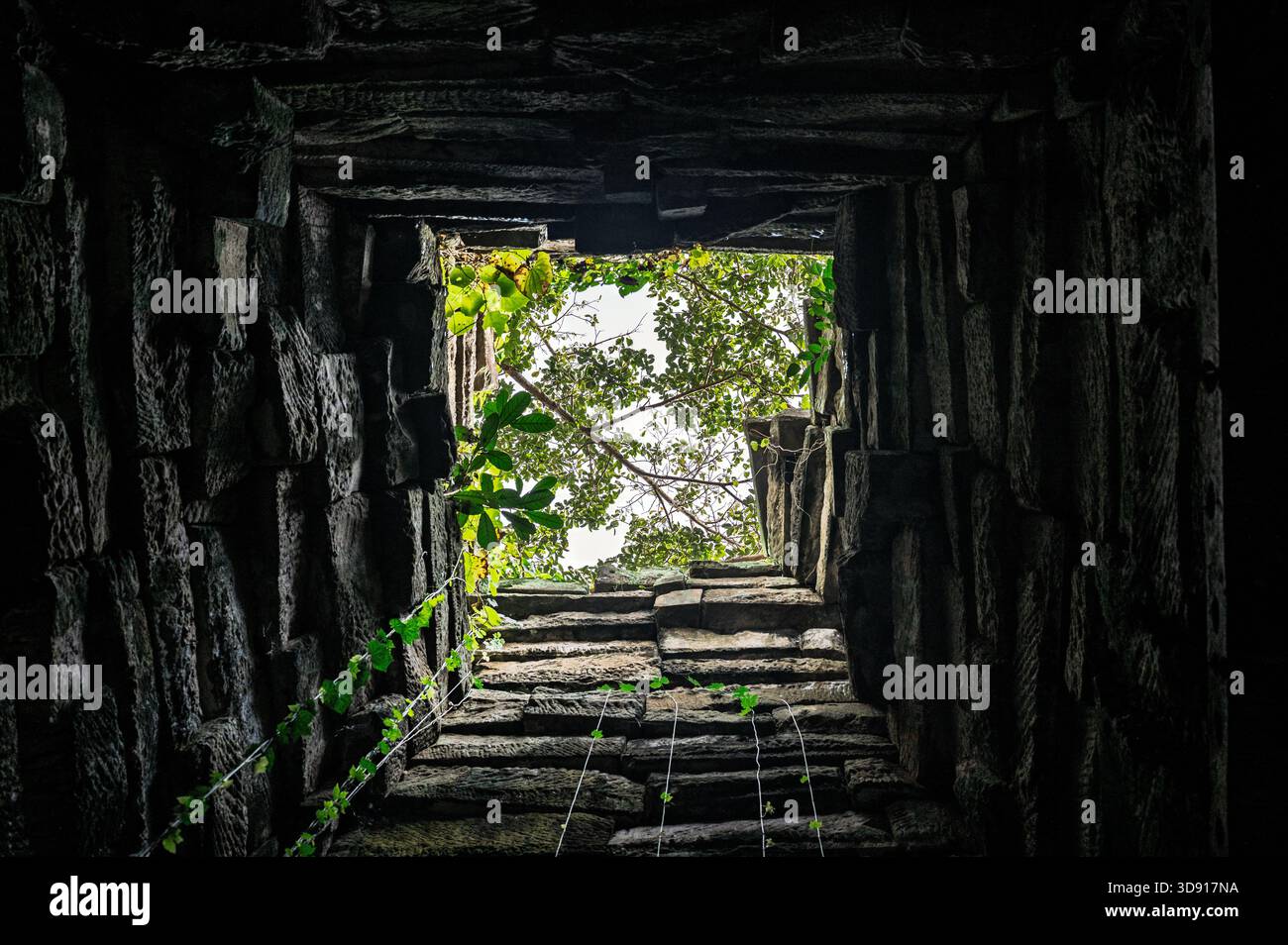 Concetto di natura. Vista dal fondo di una profonda fossa di pietra in antiche rovine che guarda verso le foglie verdi e il cielo simbolo di speranza e libertà Foto Stock