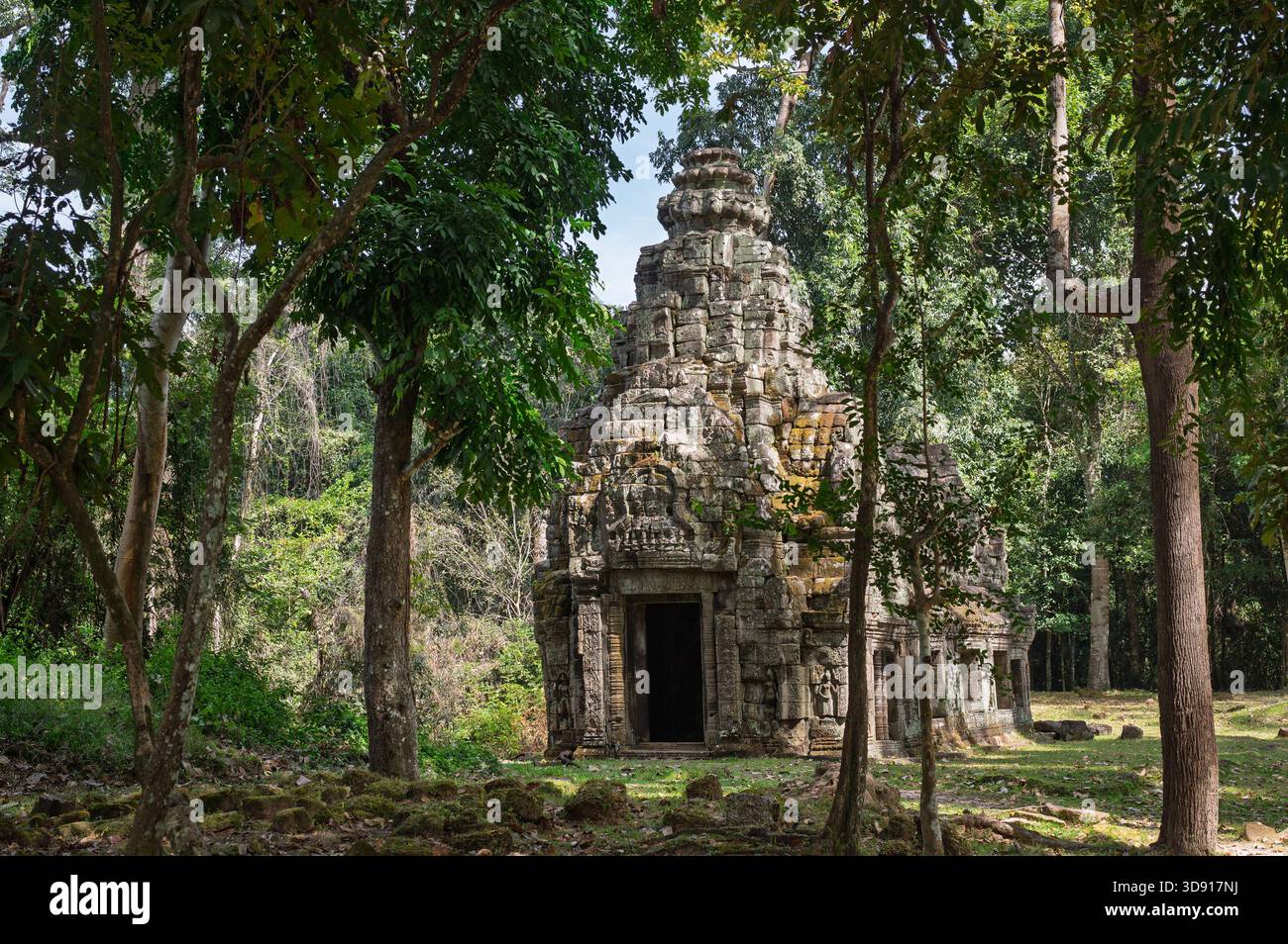 Concetto di tesoro nascosto struttura di santuario religioso solitario circondato da alberi di giungla tropicali nell'area storica del complesso di templi cambogiani Foto Stock