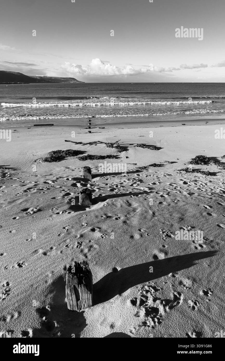 Vista mono di vecchi pali di legno sulla spiaggia di Barmouth che proiettano lunghe ombre verso la costa Foto Stock