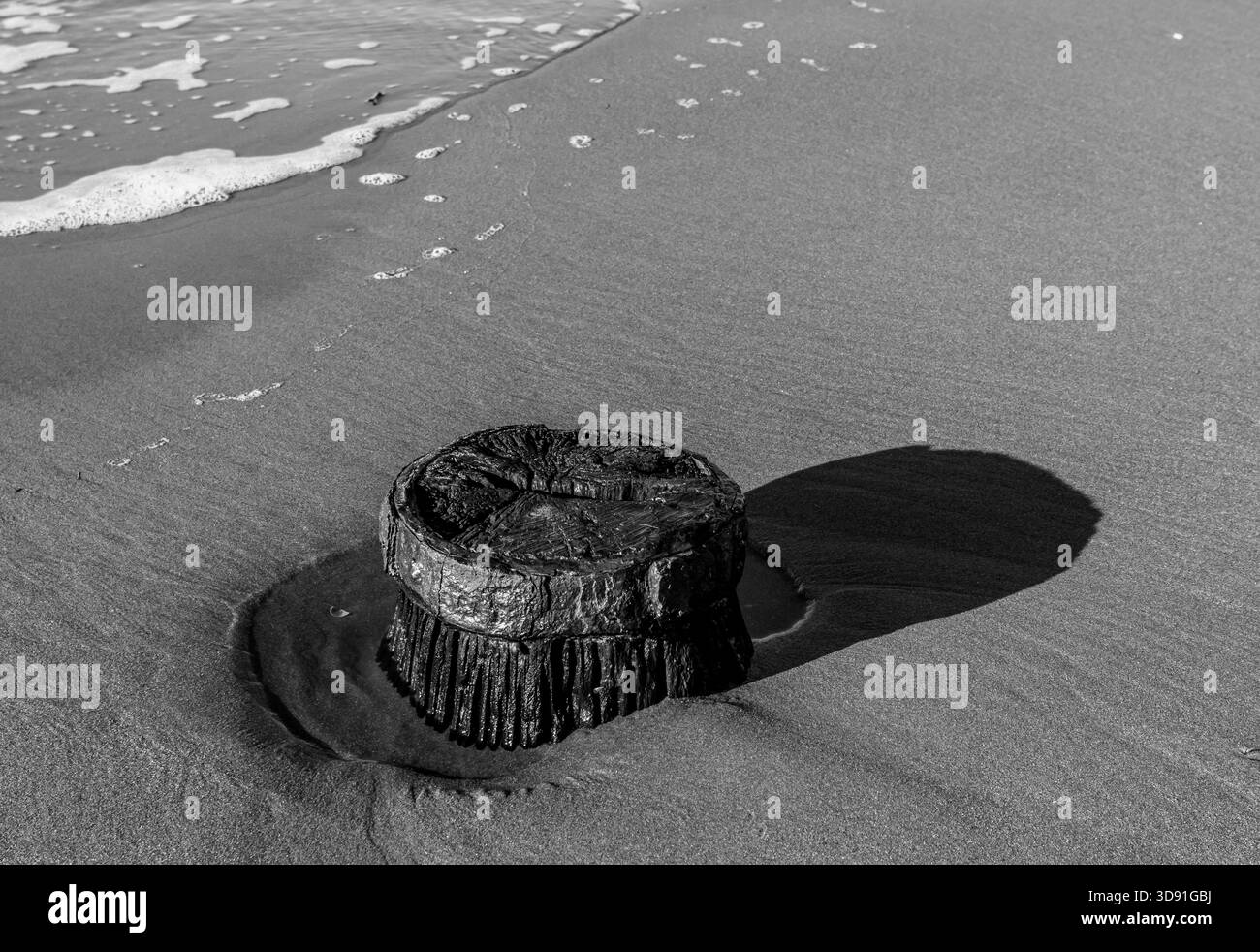 Immagine minimalista in bianco e nero di un palo in legno con superficie metallica sulla sabbia Foto Stock