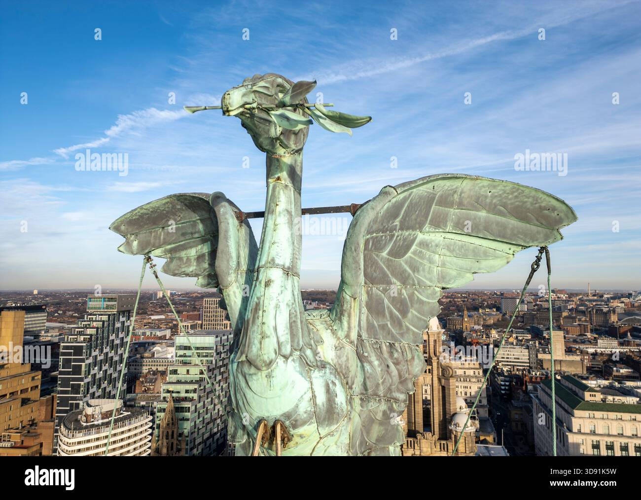 LIVERPOOL, MERSEYSIDE, INGHILTERRA - 21 NOVEMBRE 2025: Una vista dettagliata della famosa statua di bella Liver Bird, città di Liverpool, Inghilterra. Foto Stock