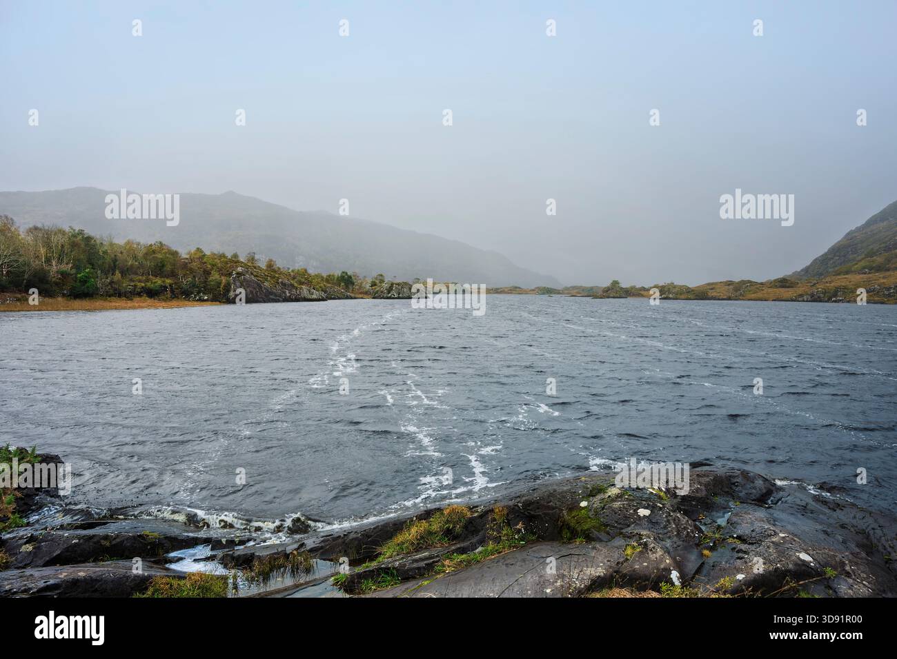 Il Wild Owengarriff River vicino al Nido dell'Aquila, Kerry, con acque scure, rocce aspre e montagne nebbiose sotto la luce soffusa. Foto Stock