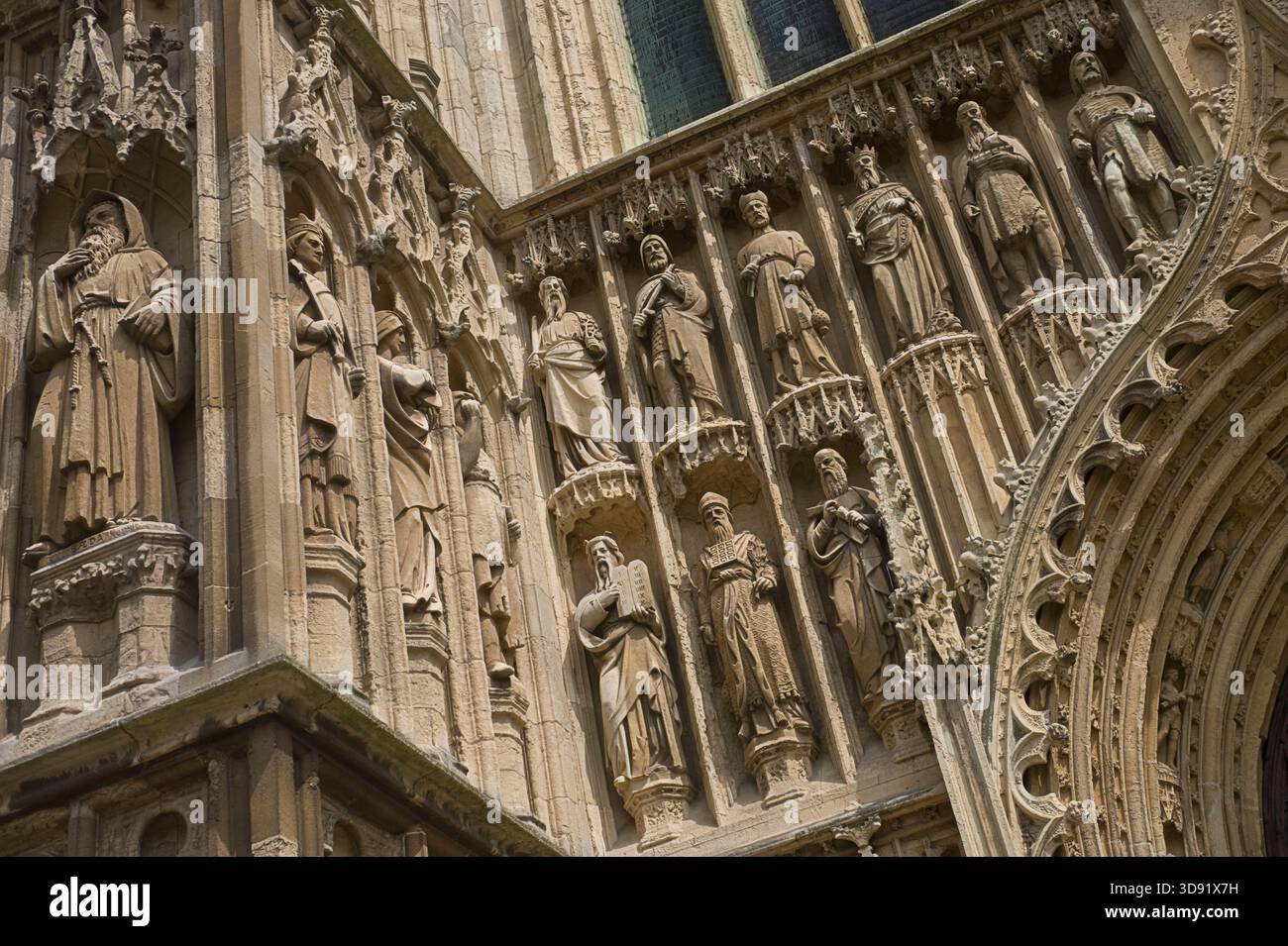 Beverley Minster, East Yorkshire, è una delle chiese gotiche più belle d'Europa e un capolavoro di architettura medievale. Iniziata intorno al 1120 come chiesa collegiata agostiniana in sostituzione di un precedente monastero anglosassone fondato da San Giovanni di Beverley, fu in gran parte ricostruita 1220–1420 in radioso stile inglese primitivo, decorato e perpendicolare. Famosa per le sue torri occidentali gemelle, le squisite incisioni in pietra del XIV secolo (compresi angeli musicali e menestrelli), l'imponente navata e l'unica gru a ruota del XVI secolo ancora in situ, rivaleggia con molte cattedrali in scala e bellezza. Un luogo di pellegrinaggio Foto Stock