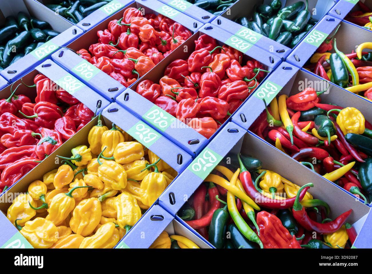 assortimento di peperoni rossi, gialli e verdi confezionati in scatole presso il coltivatore Foto Stock