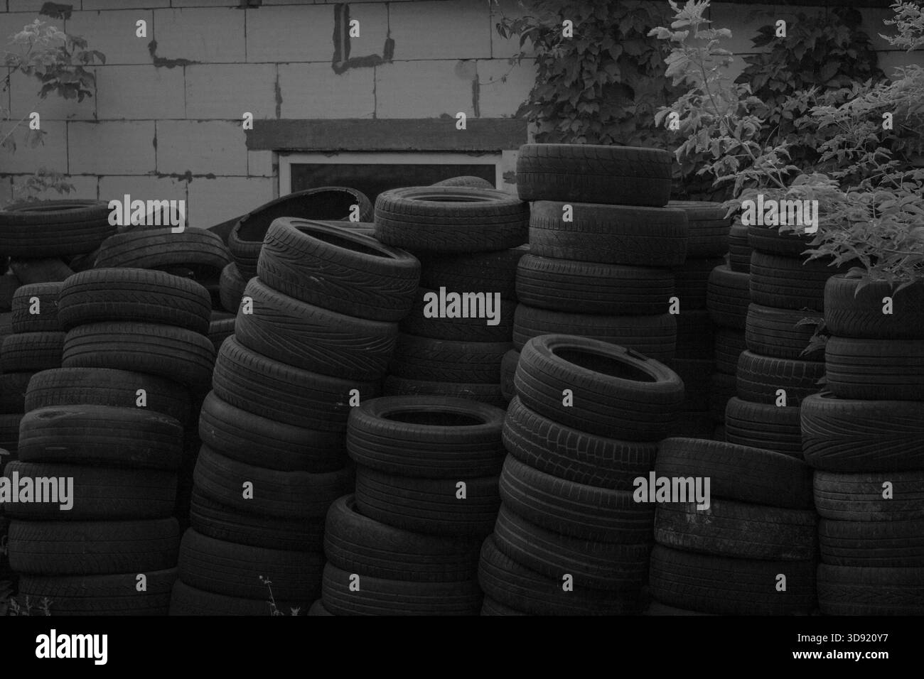 Deposito pneumatici in prossimità di una stazione di servizio, in bianco e nero Foto Stock