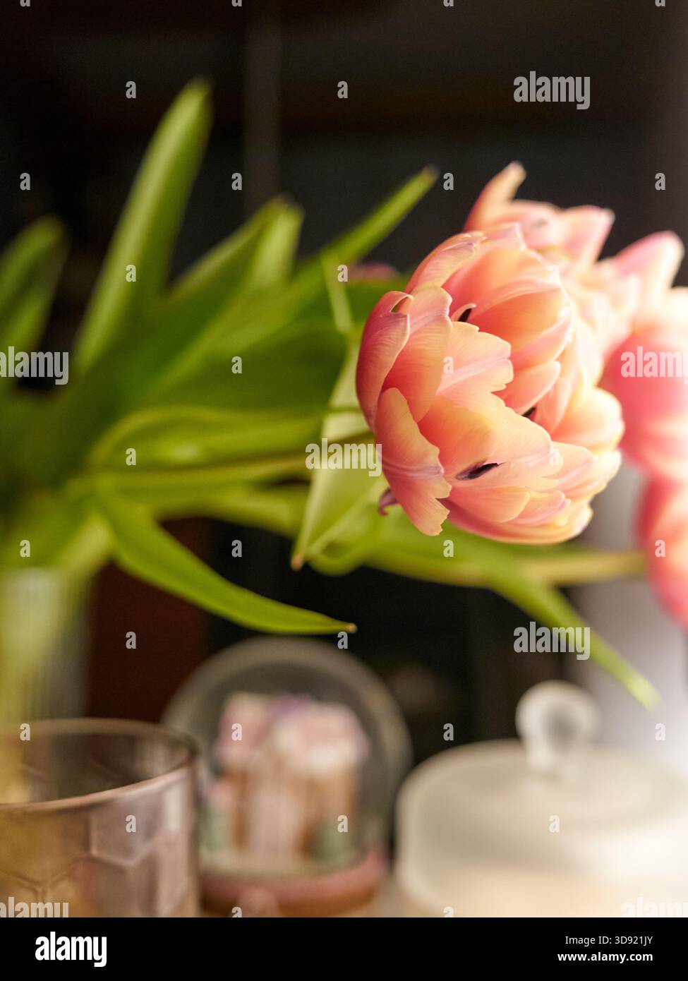 tulipani rosa sul tavolo della colazione accanto alla tazza fumante e al bicchiere, angolo cottura illuminato dal sole con souvenir offuscati, Foto Stock