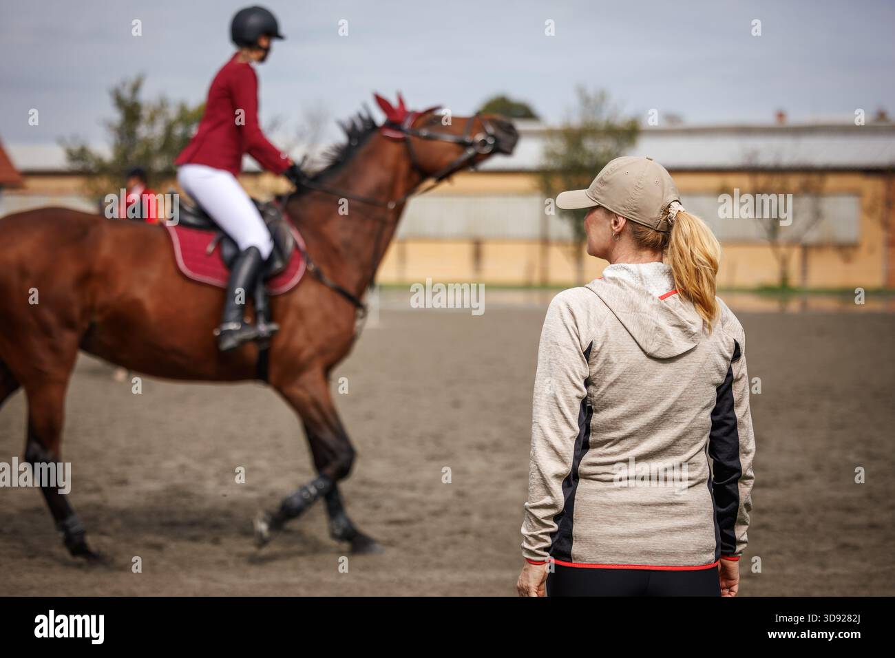 Istruttore equestre esperto che supervisiona il giovane cavaliere con cavallo durante la sessione di allenamento nel paddock prima della competizione Foto Stock