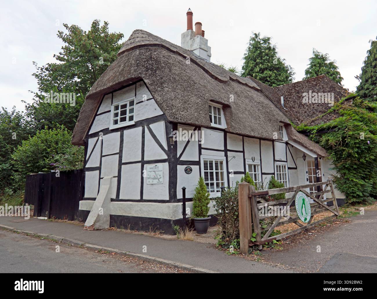 Studio veterinario Midforest, a Glenber Cottage, Beechen Lane, Lyndhurst, Hampshire Foto Stock