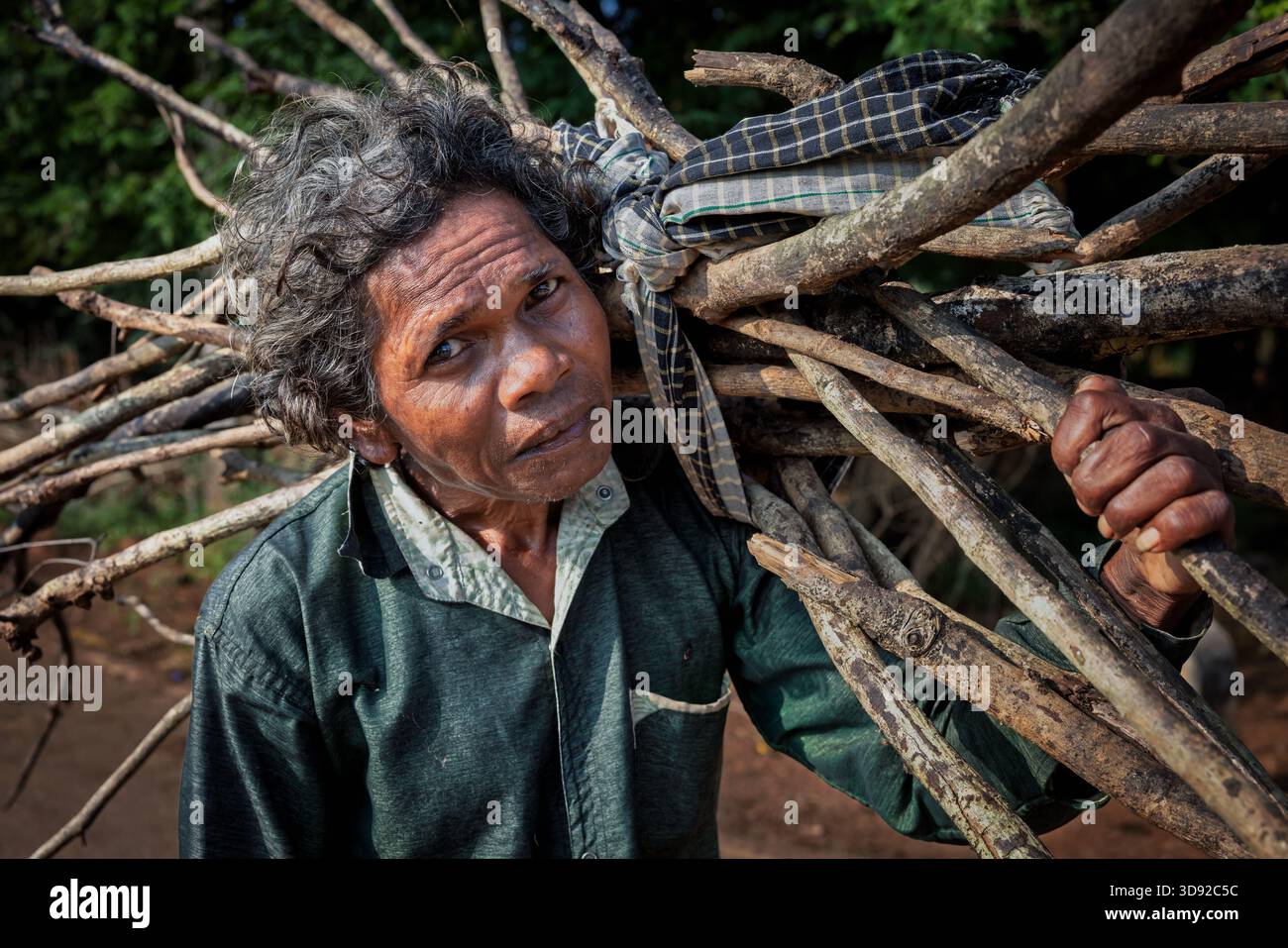 Ritratto di un uomo anziano che raccoglie legna, Orissa, India Foto Stock