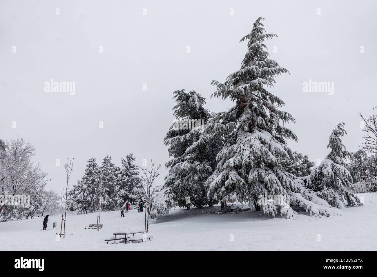 Quartiere Carabanchel nel teatro di madrid coperto dalla neve dalla tempesta philomena Foto Stock