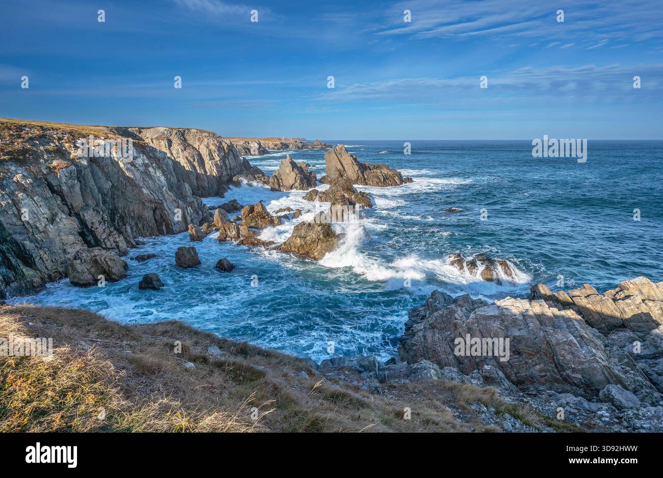 Onde sulla costa rocciosa dello Spillars Cove Geopark a Terranova e Labrador, Canada Foto Stock