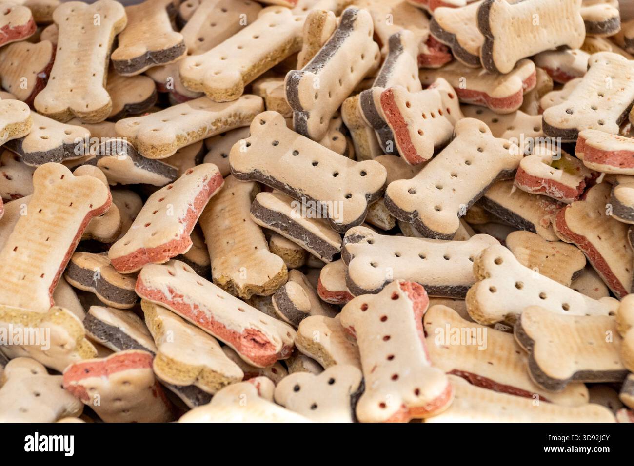 sfondo a motivi di biscotti sani per cani in forme ossee Foto Stock