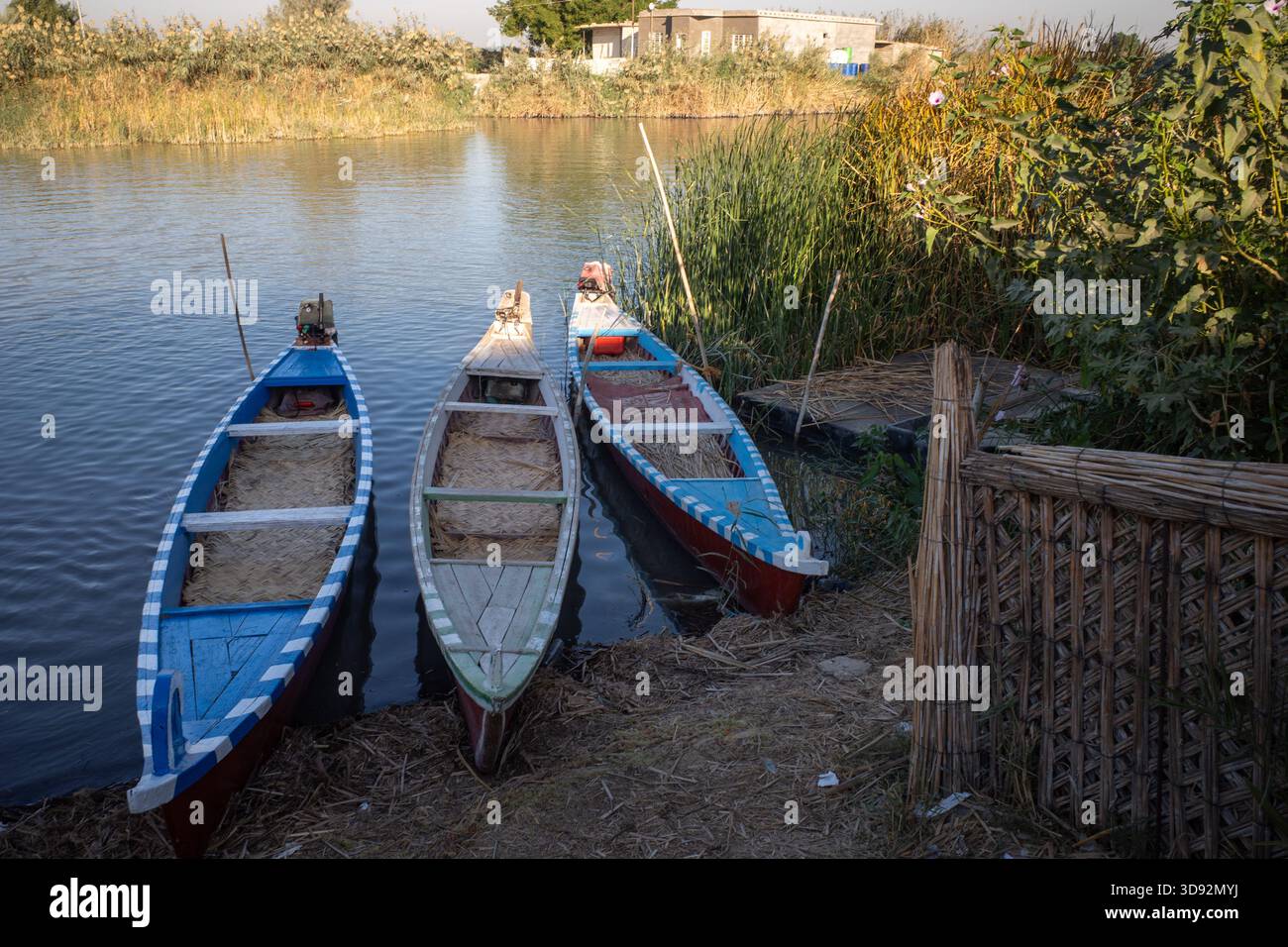 Nasiriyah, Iraq - 20 novembre 2025: Barche paludose tradizionali irachene (Mashoof) attraccate dalle Reed Banks Foto Stock