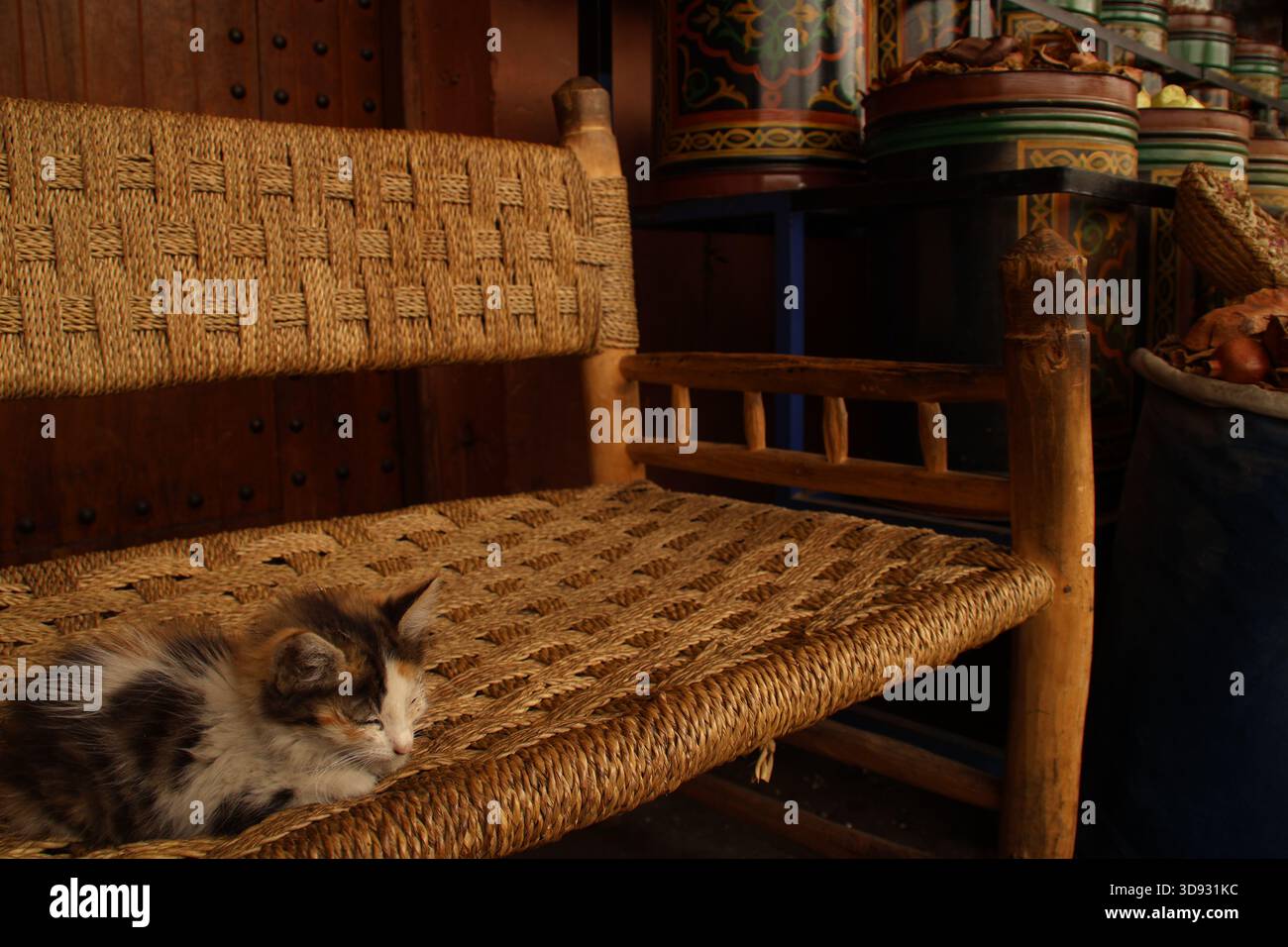 Il gatto dorme pacificamente nel trambusto di Marrakech Foto Stock