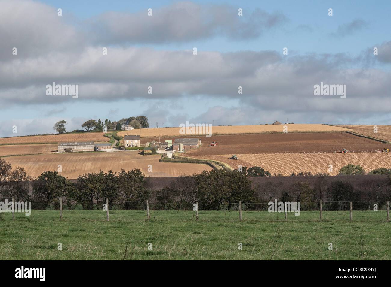 Fattoria rurale nella campagna del Devon Foto Stock