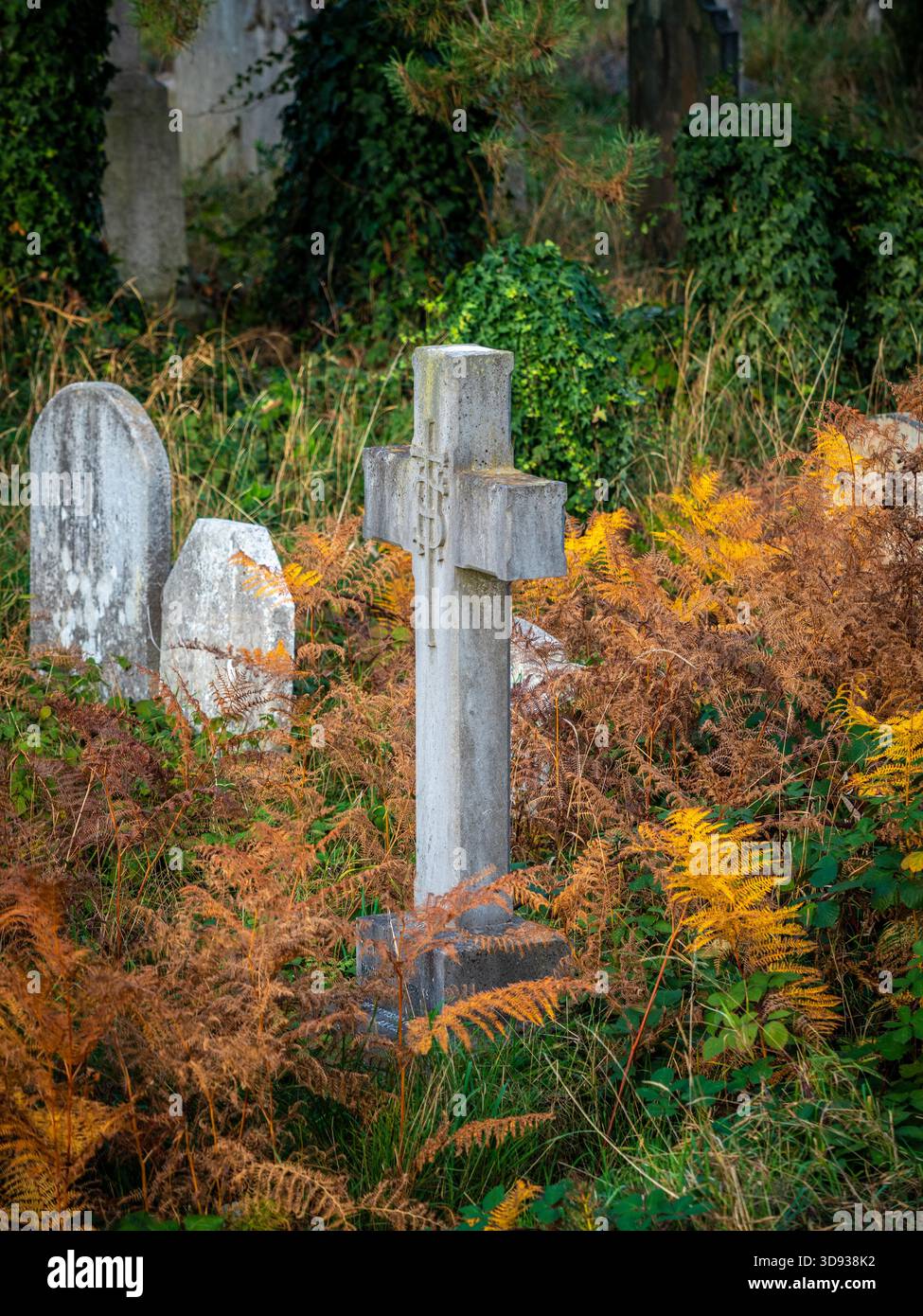 Una semplice pietra a croce che sorge tra il bracken dorato in un'area sovradimensionata del cimitero di Brompton. Foto Stock