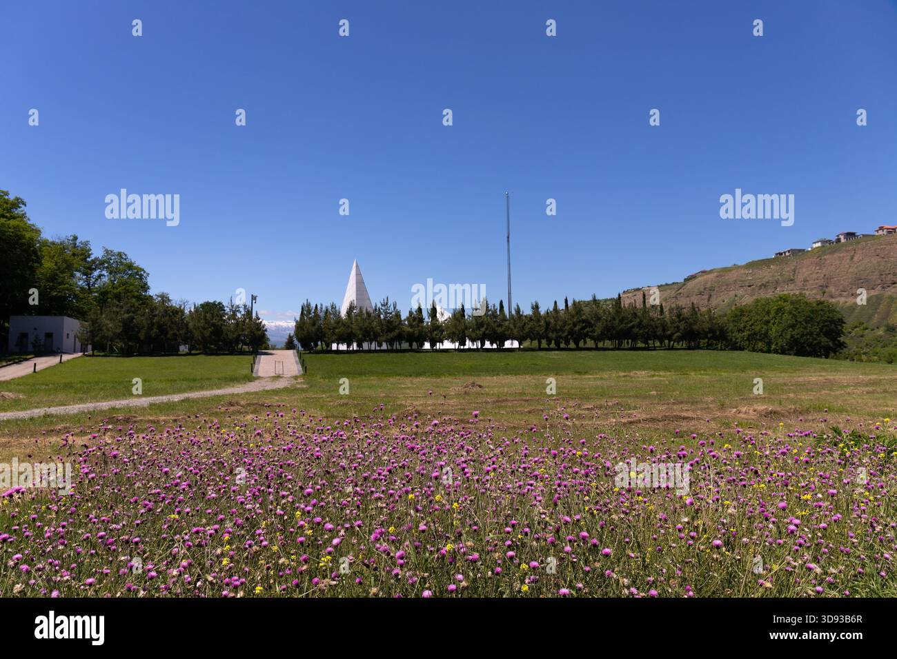 Città di Guba. Azerbaigian. 05.27.2022. Bellissimi campi di fiori sul territorio del complesso del genocidio nella città di Guba. Foto Stock