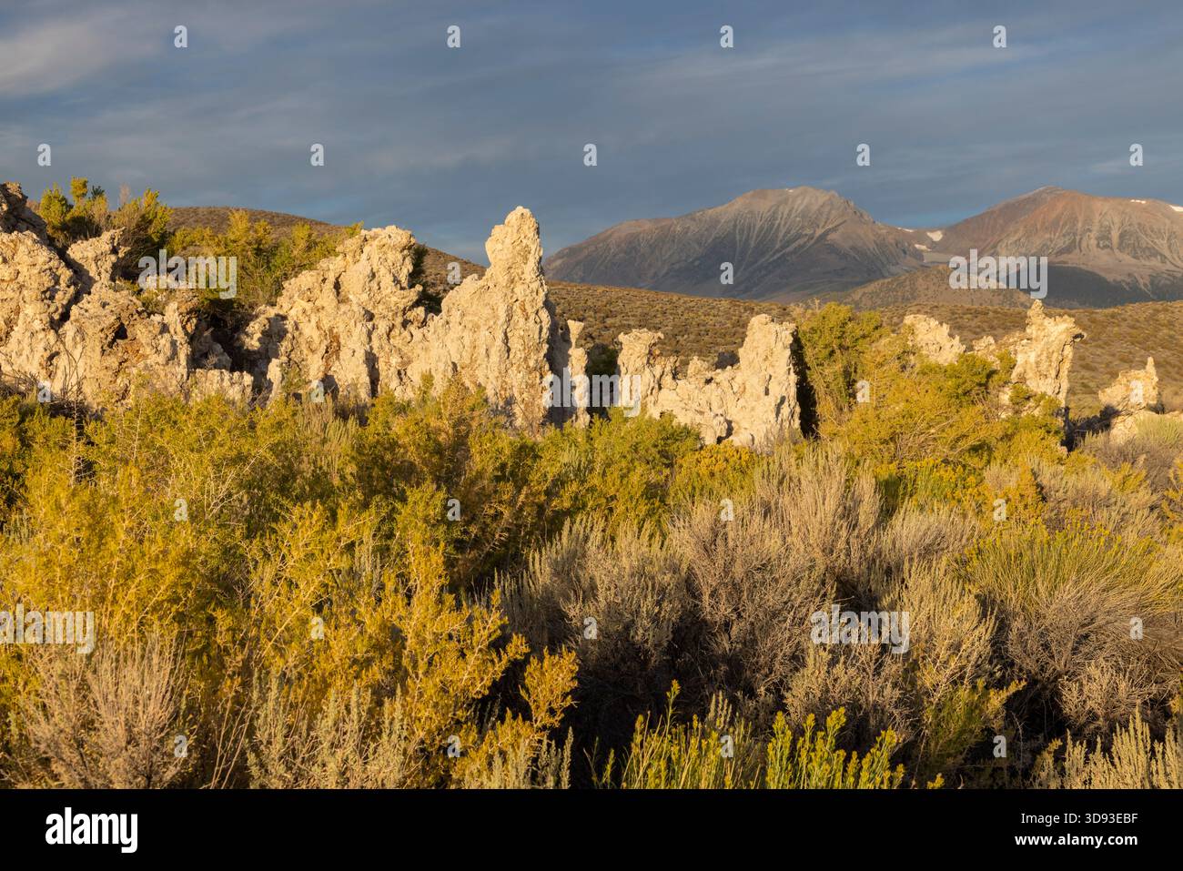 Tufa Towers vicino al lago Mono in California, Stati Uniti. Estate (agosto) 2025. Foto Stock