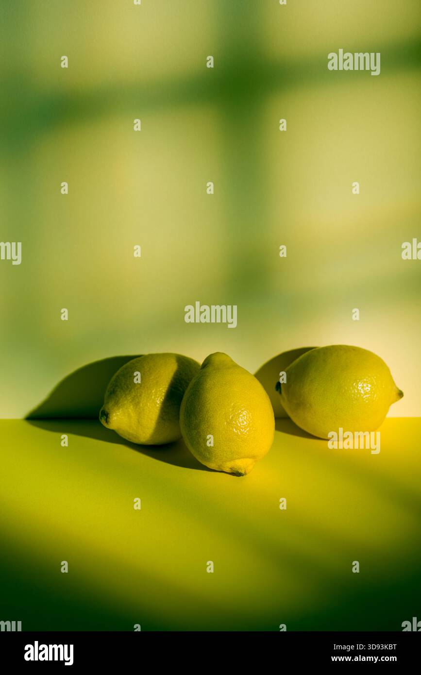 Gruppo di frutti di cedro su sfondo verde con effetto luce finestra. Foto Stock