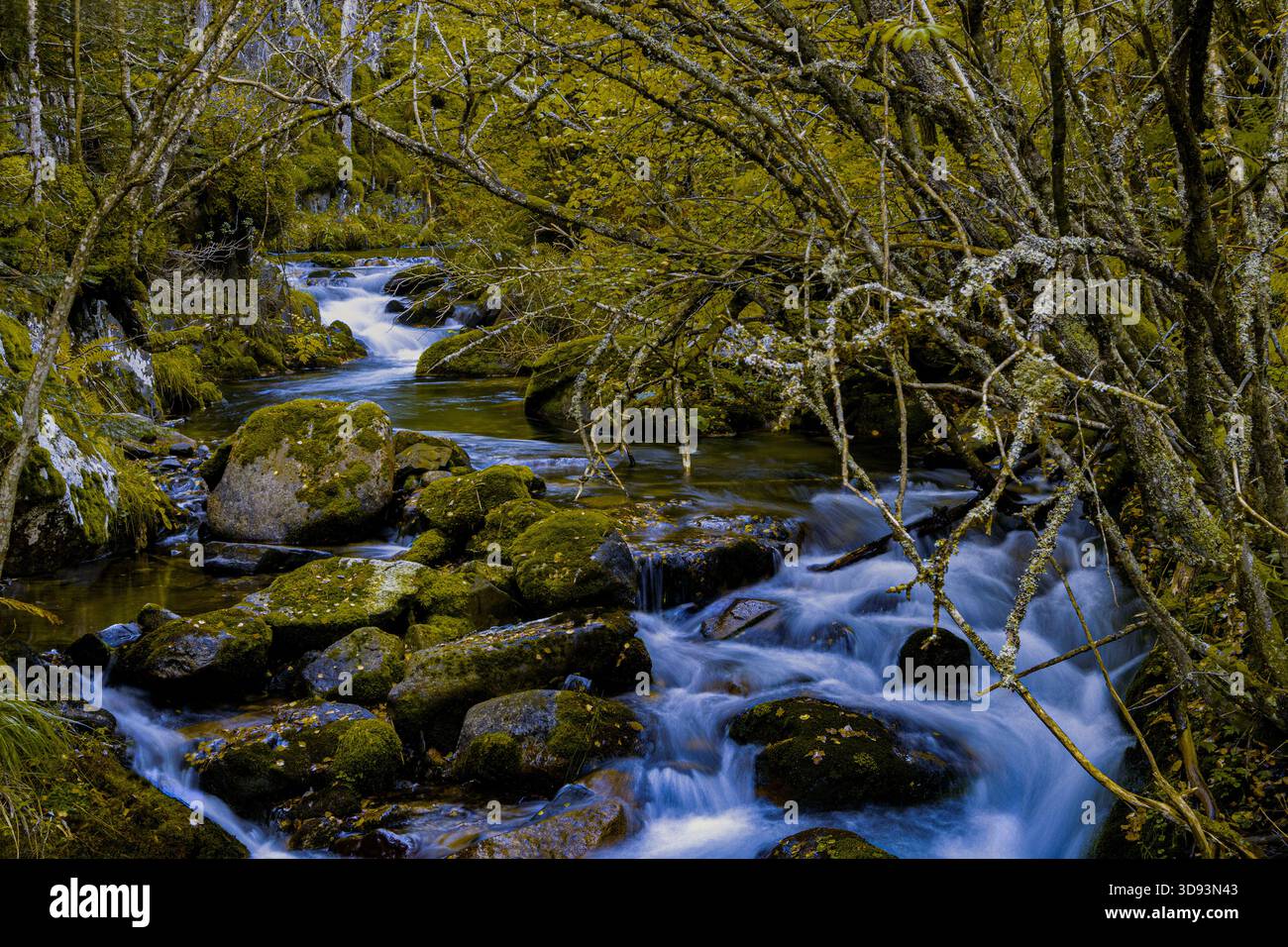 Il paesaggio della Valle d'Ordesa è così magnifico che è considerato uno dei posti migliori della penisola. Foto Stock