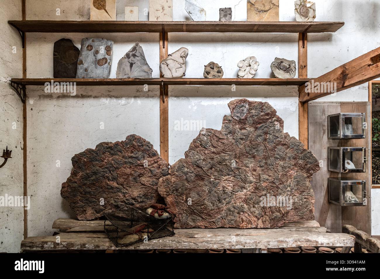 Odawara, prefettura di Kanagawa, Giappone Foto Stock