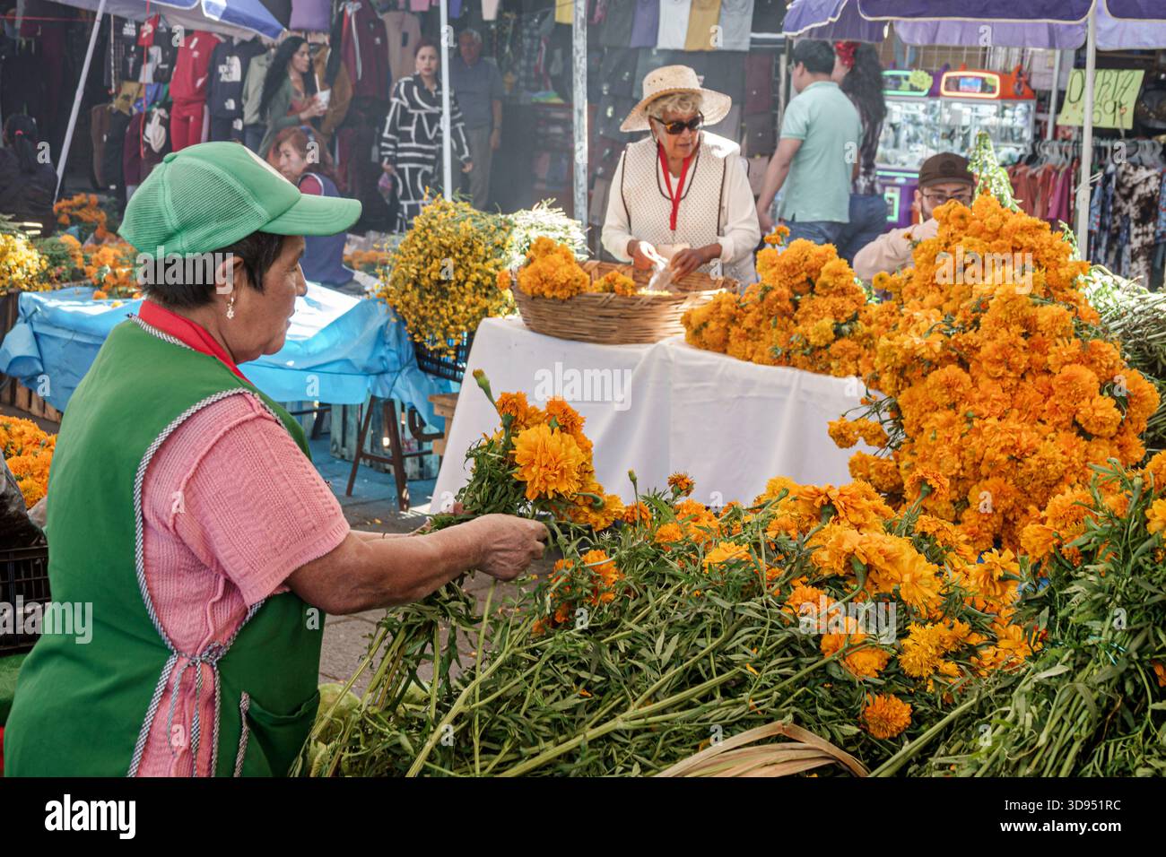 Città del Messico, Messico, Xochimilco, mercado Market, venditori di fiori, donna adulta, ispanica latina, organizzazione di calendule, cempasuchil bundle, fiore di stagione Foto Stock