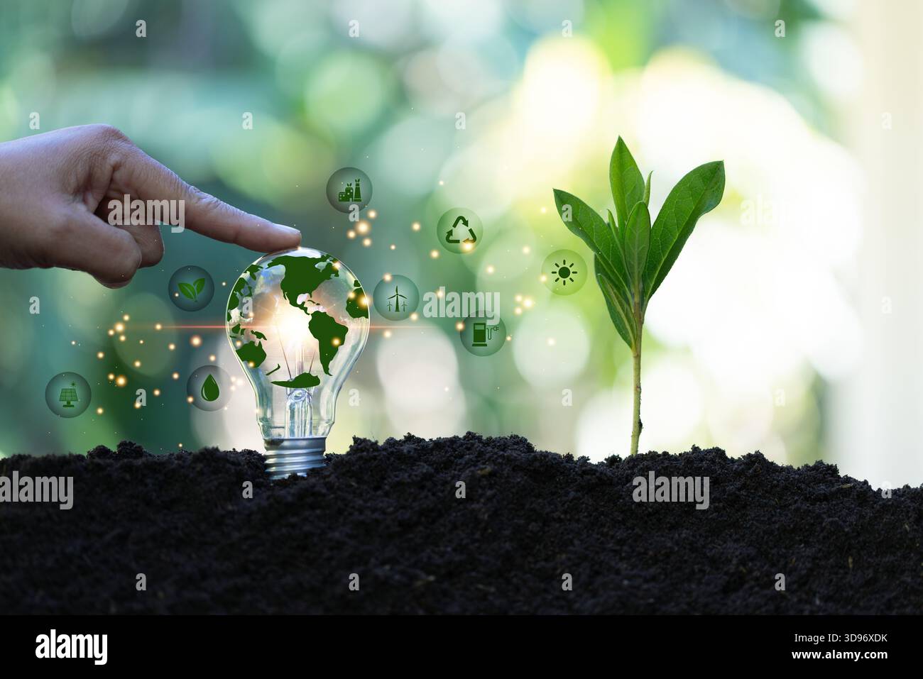 La lampadina si trova sul terreno e le piante crescono con il grafico della crescita. La generazione di energia rinnovabile è essenziale in futuro. Fonti alternative Foto Stock