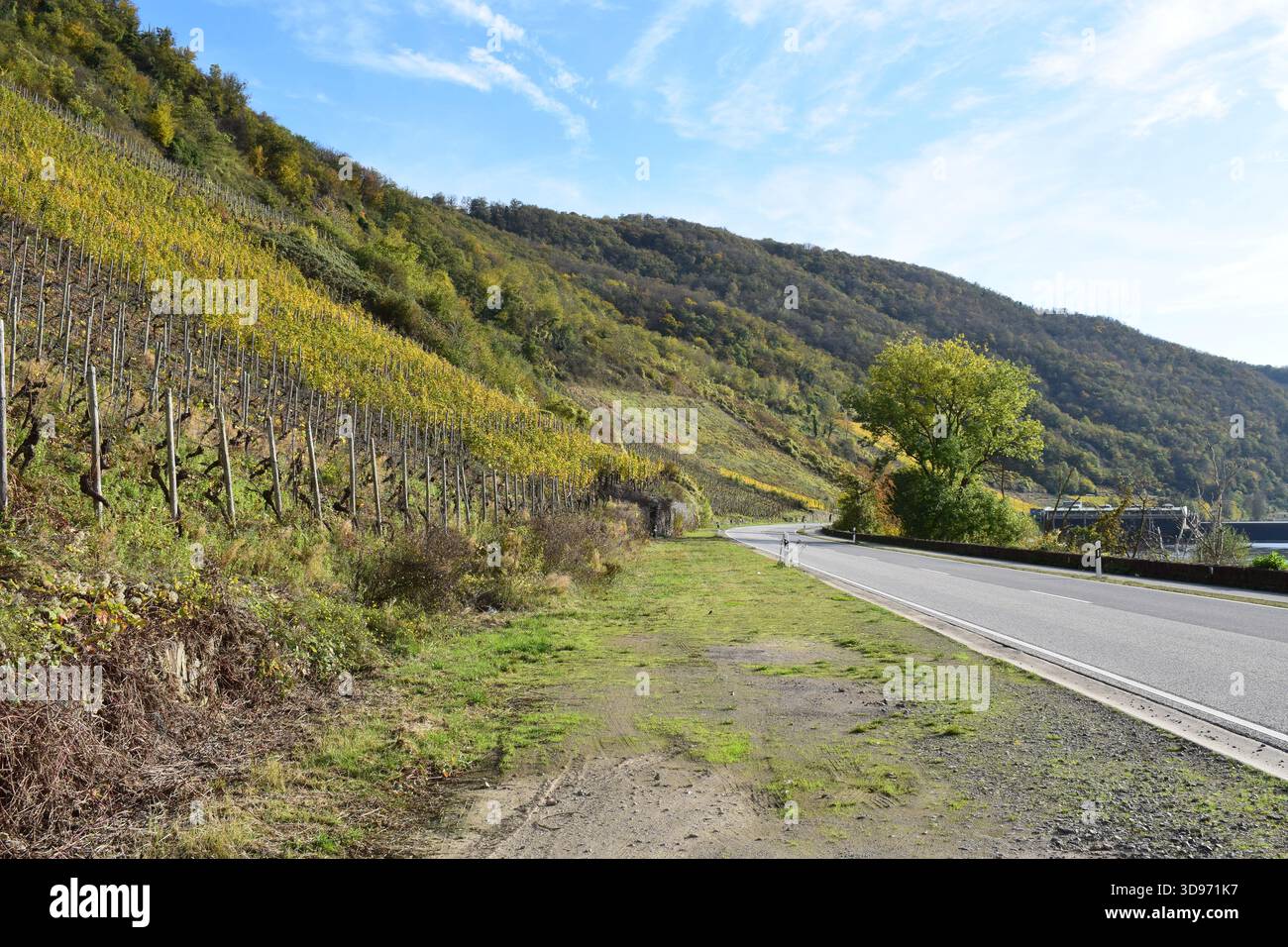 Strada della valle della Mosella lungo i ripidi vigneti gialli autunnali Foto Stock