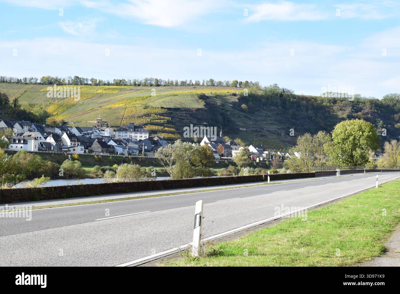 Strada della valle della Mosella lungo i ripidi vigneti gialli autunnali Foto Stock