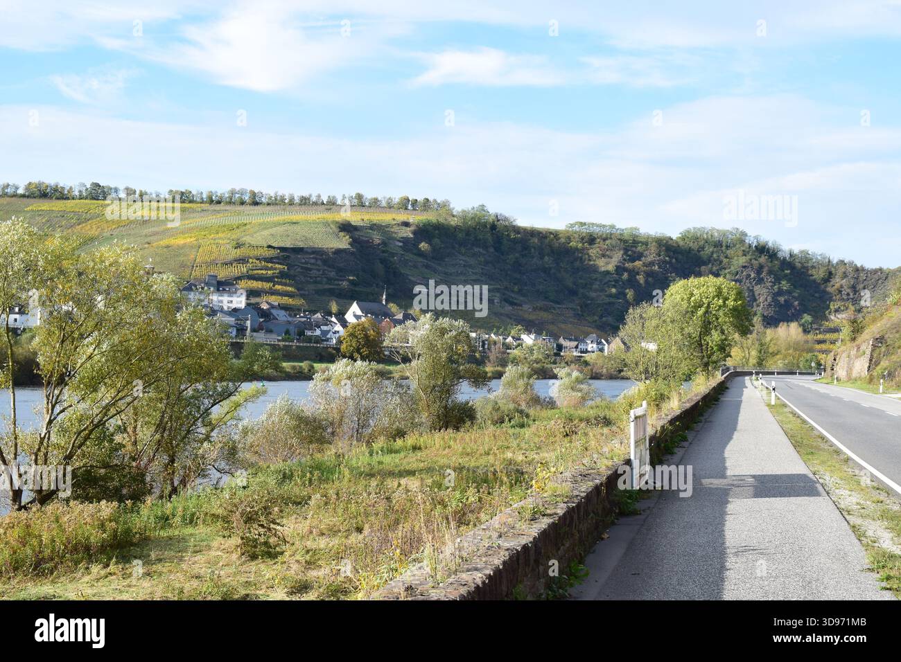 Strada della valle della Mosella lungo i ripidi vigneti gialli autunnali Foto Stock