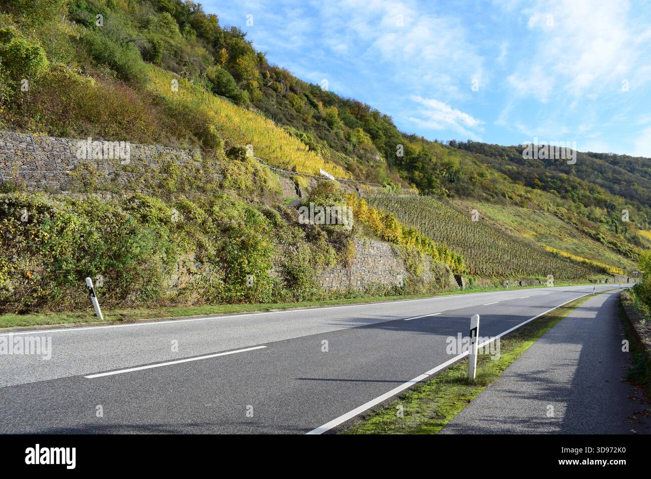 Strada della valle della Mosella lungo i ripidi vigneti gialli autunnali Foto Stock