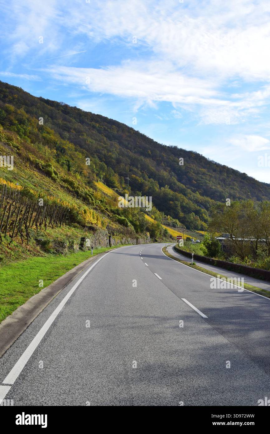 Strada della valle della Mosella lungo i ripidi vigneti gialli autunnali Foto Stock