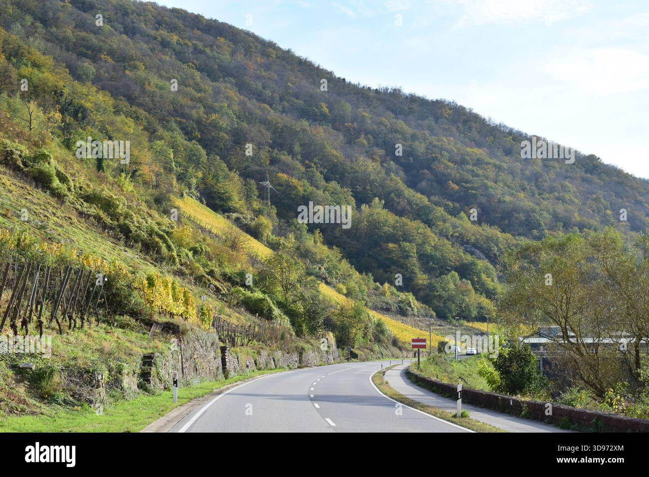 Strada della valle della Mosella lungo i ripidi vigneti gialli autunnali Foto Stock
