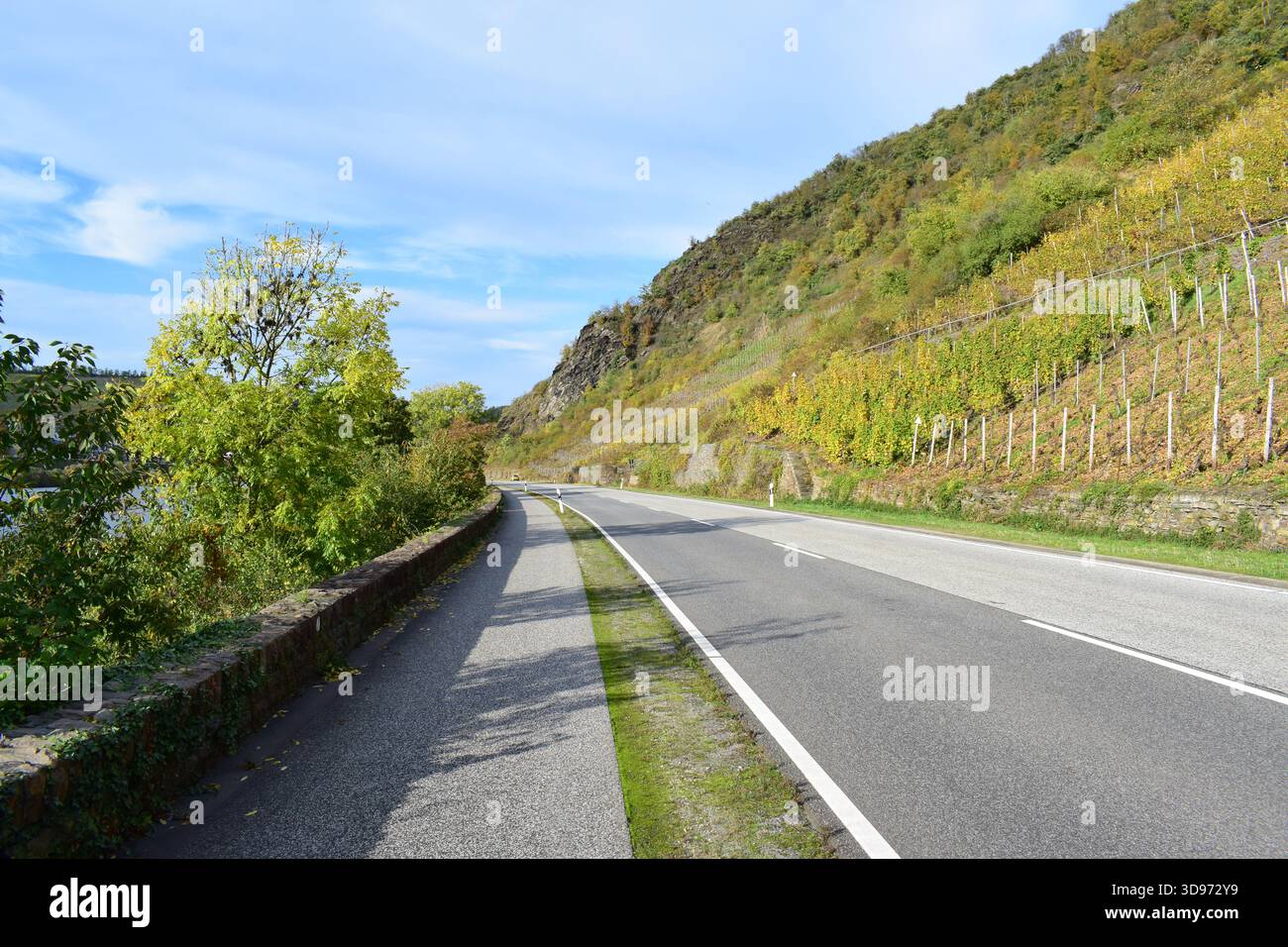 Strada della valle della Mosella lungo i ripidi vigneti gialli autunnali Foto Stock