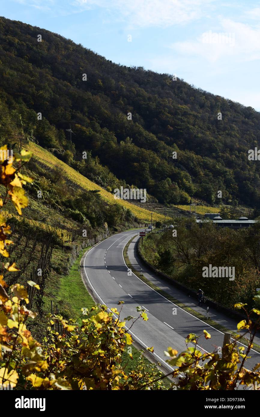 Strada della valle della Mosella lungo i ripidi vigneti gialli autunnali Foto Stock