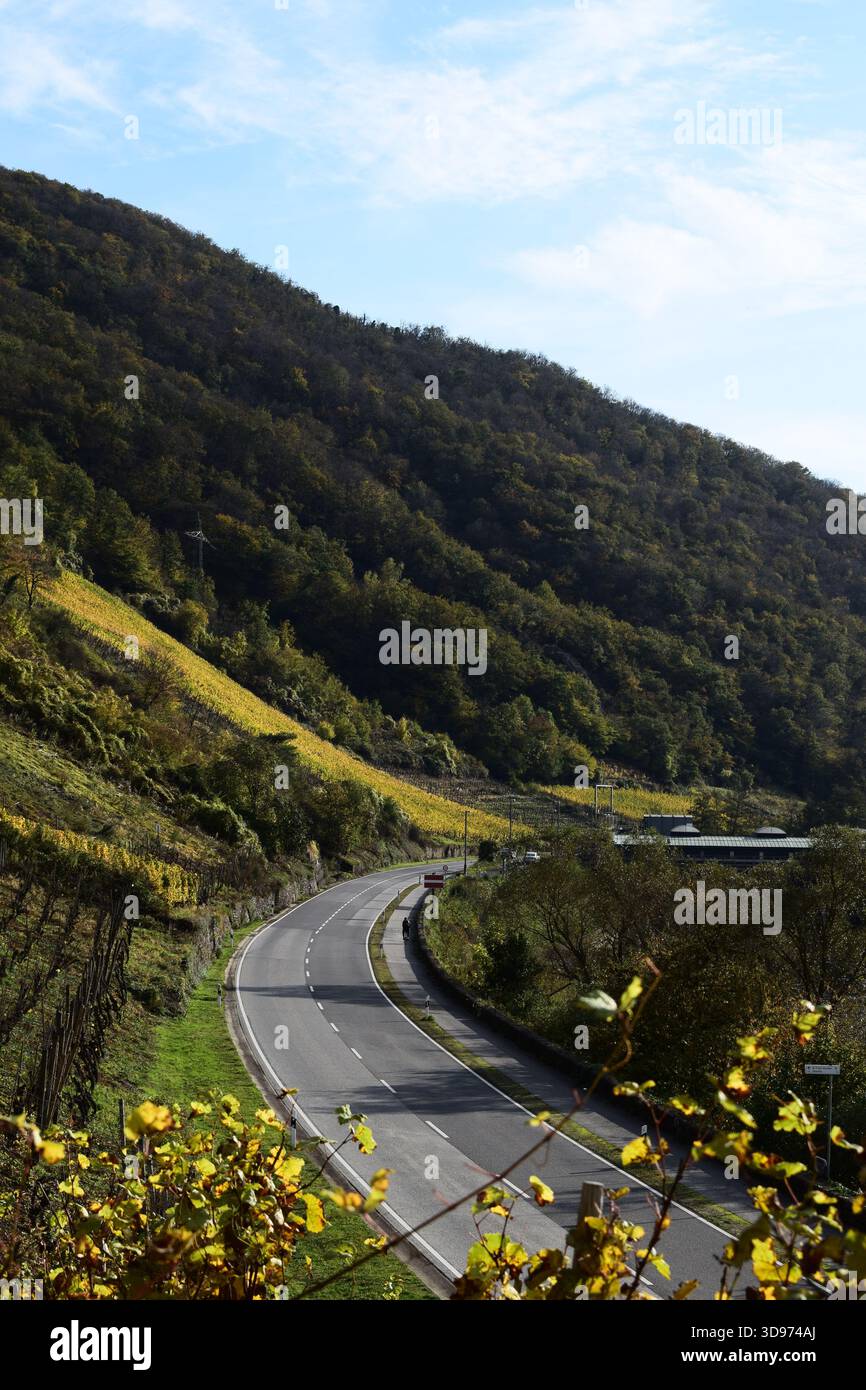Strada della valle della Mosella lungo i ripidi vigneti gialli autunnali Foto Stock