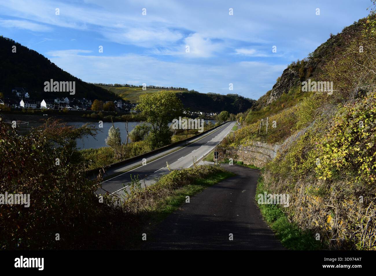 vigneti ripidi terrazzati in colori autunnali Foto Stock