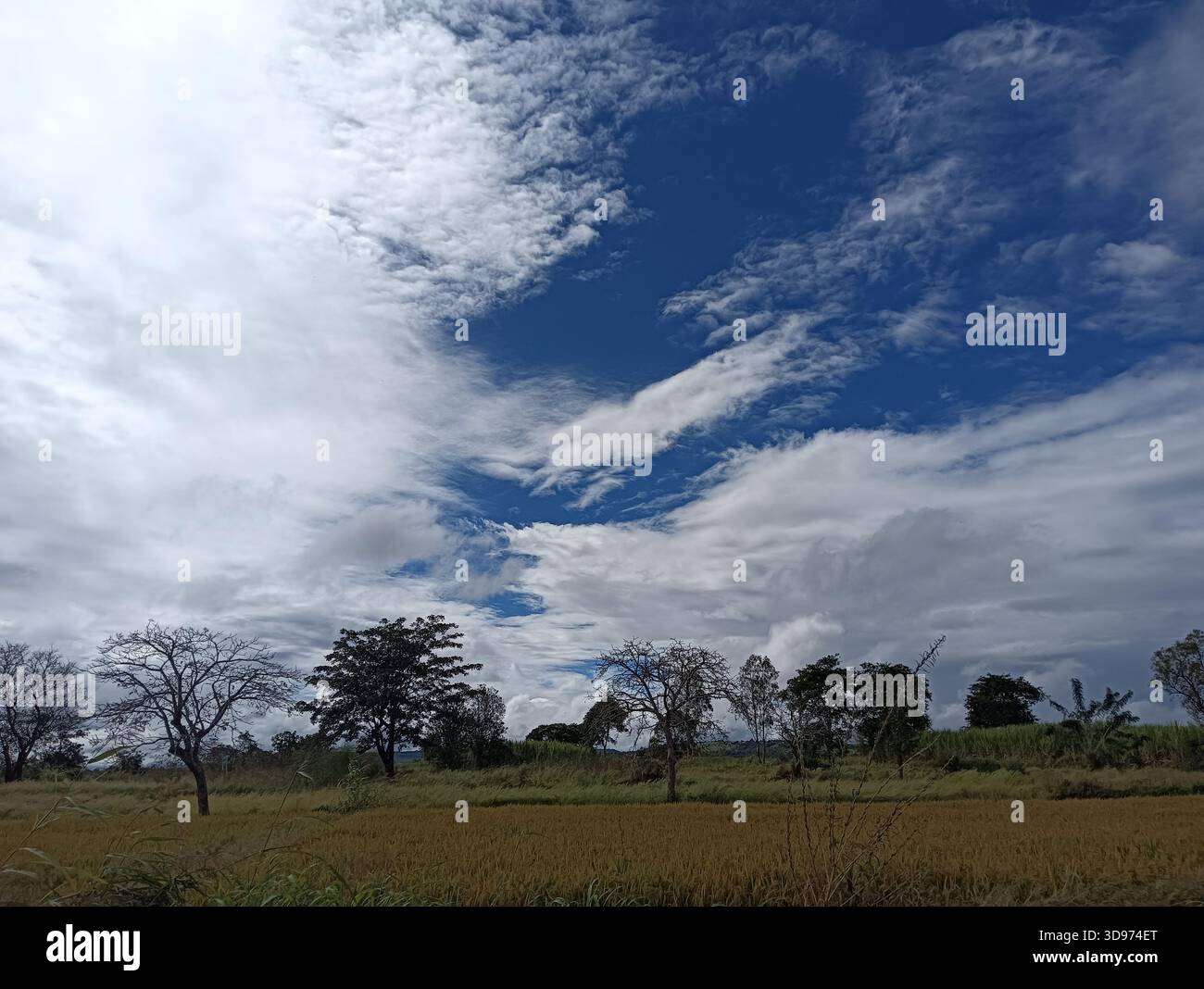 "Alcuni cieli non hanno bisogno di filtri - solo nuvole che fluttuano attraverso una perfetta tela blu." - Immagine stock catturata con smartphone