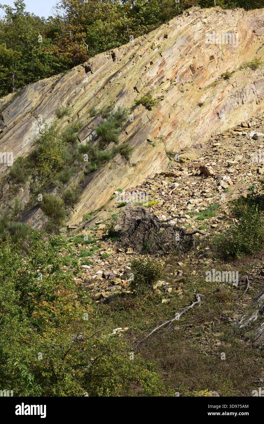 scogliera con parti erose e sbriciolate dove i vigneti sono abbandonati Foto Stock
