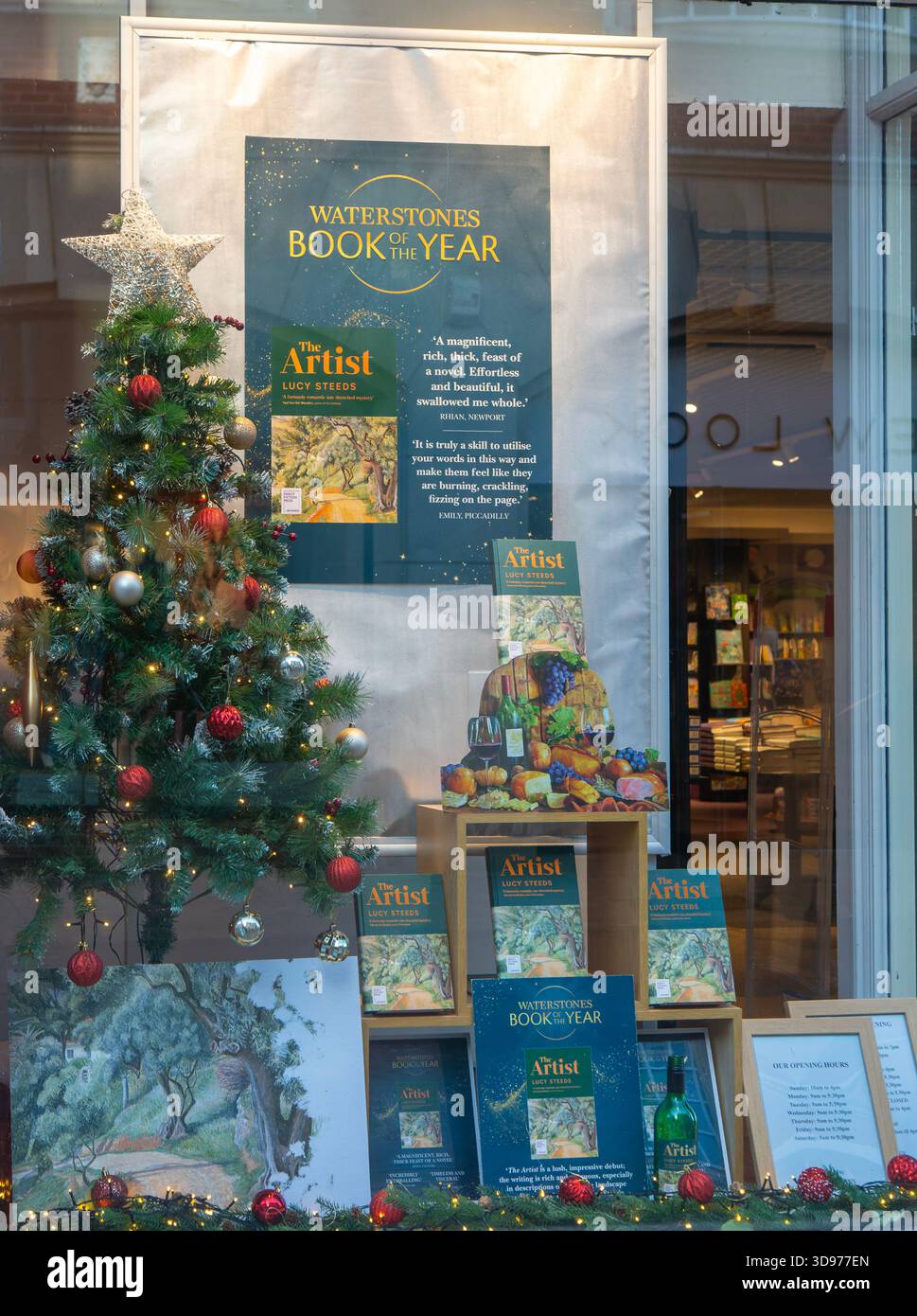 Waterstones Book of the Year, The Artist di Lucy Steed, libri in vetrina della libreria Waterstones, Ipswich, Suffolk, Inghilterra, Regno Unito Foto Stock