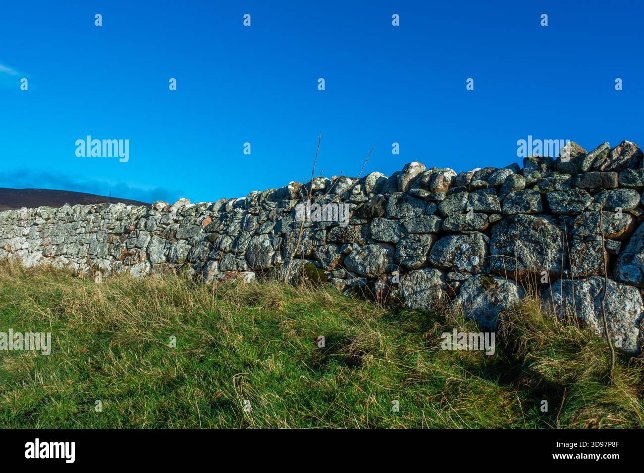 Una diga di pietra secca, o muro, di fronte a un cielo blu in Scozia Foto Stock
