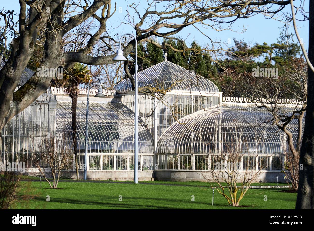 serre presso i giardini botanici nazionali di dublino, repubblica d'irlanda Foto Stock