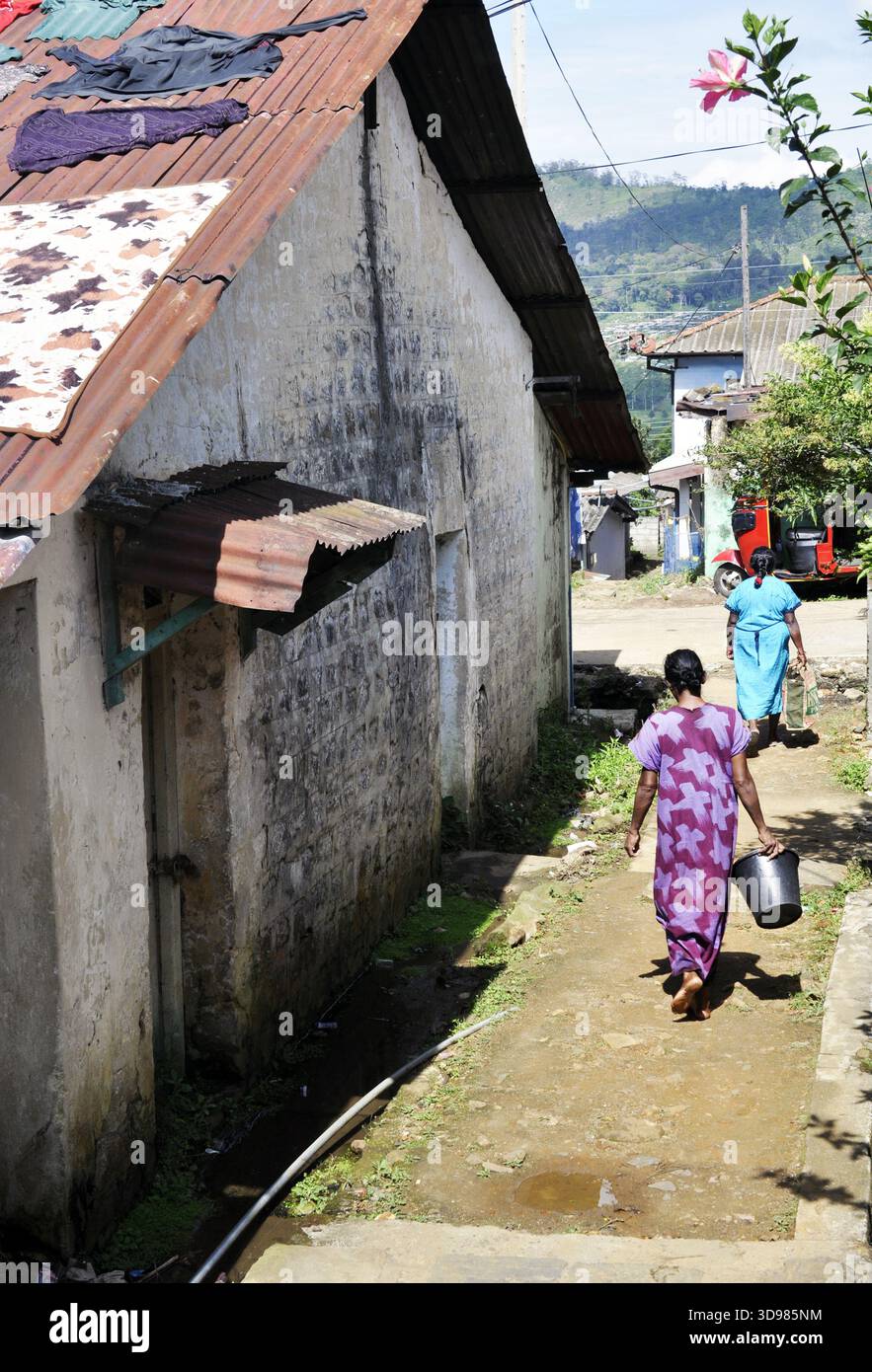 Lavare e asciugare i vestiti, Sri Lanka Foto Stock
