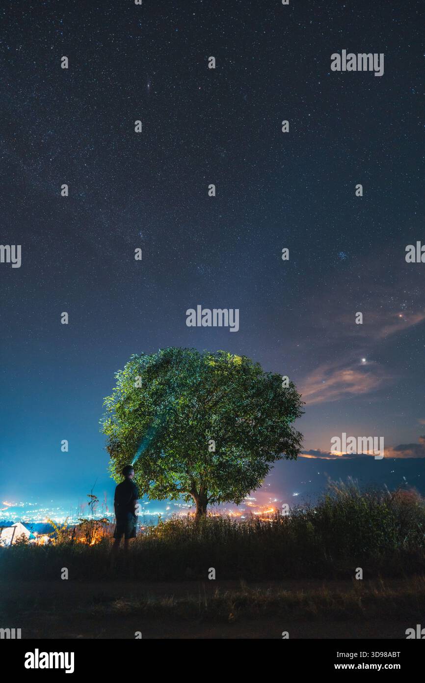 Viaggiatore sotto un albero solitario con un fascio di luci che guarda il cielo stellato notturno con la via lattea e la luce della città Foto Stock