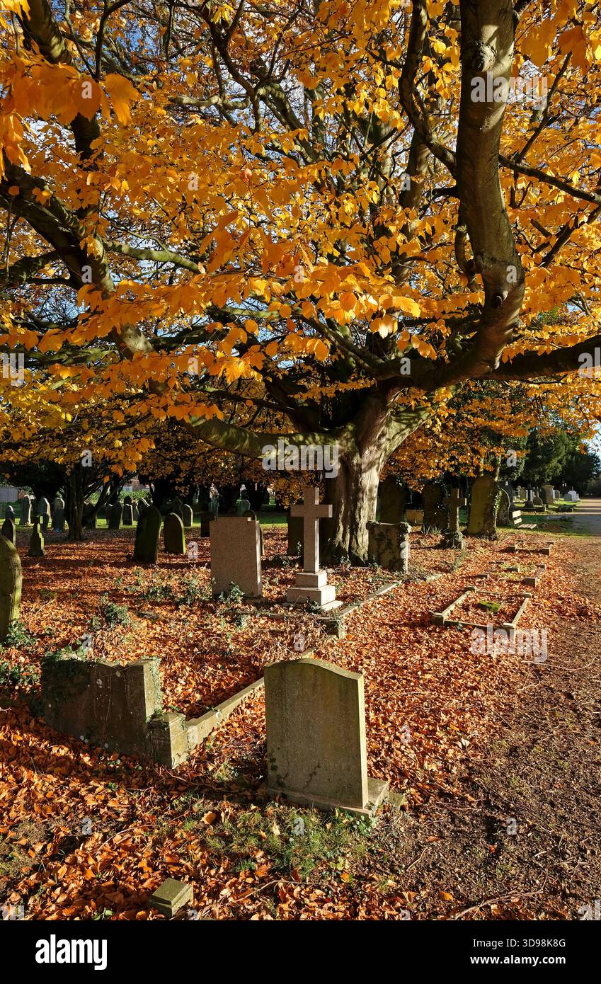 l'autunno parte nel cimitero di fakenham, norfolk, inghilterra Foto Stock