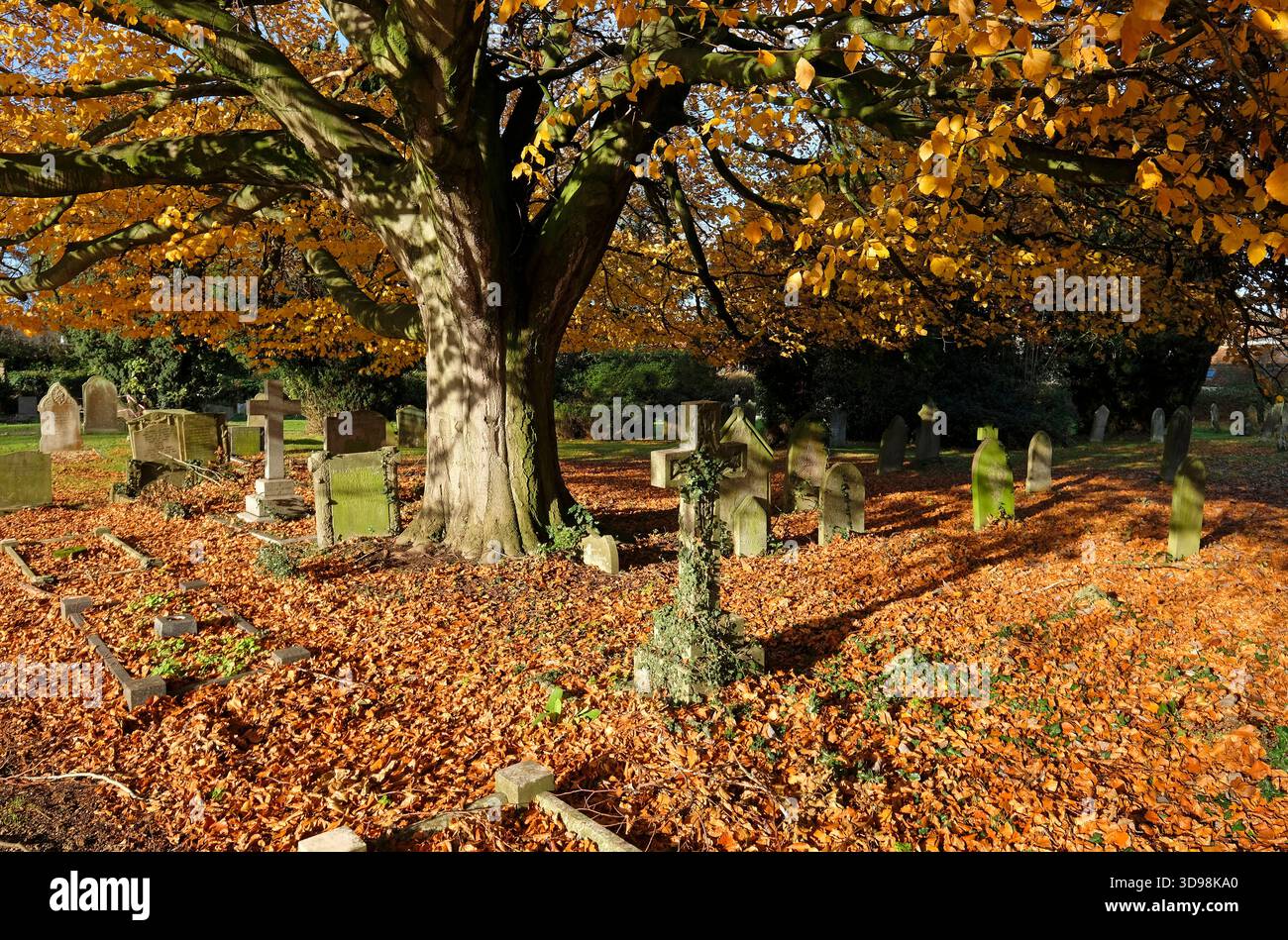 l'autunno parte nel cimitero di fakenham, norfolk, inghilterra Foto Stock