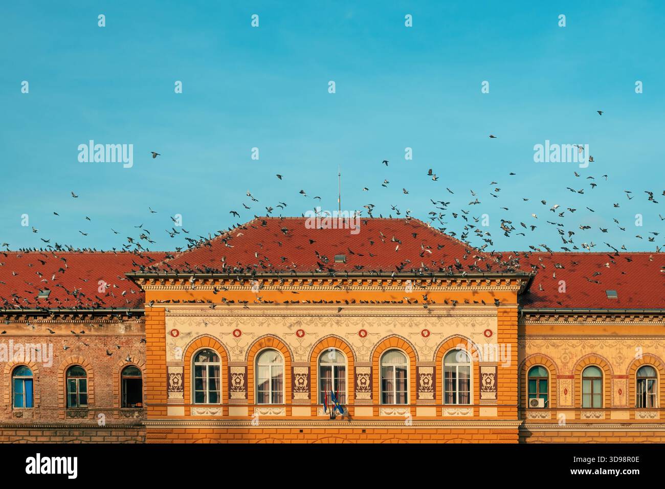 Zrenjanin, Serbia - 1 dicembre 2025: Stormo di piccioni sopra l'edificio dell'accademia del commercio, costruito nel 1892 su progetto dell'architetto ungherese Istvan Kiss. Foto Stock