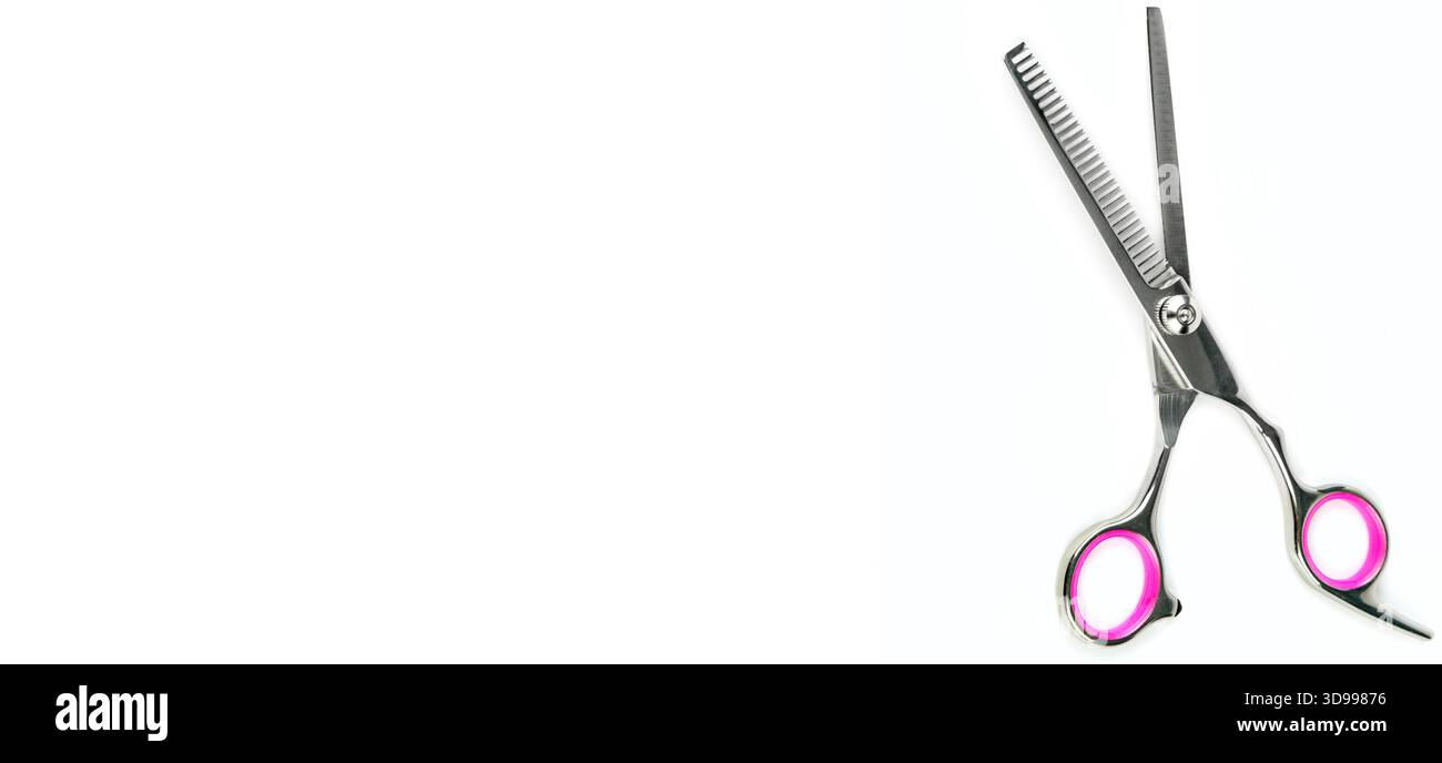 Forbici professionali nel salone per la cura degli animali domestici. Isolato su sfondo bianco. Spazio libero per il testo. Foto grandangolare. Foto Stock
