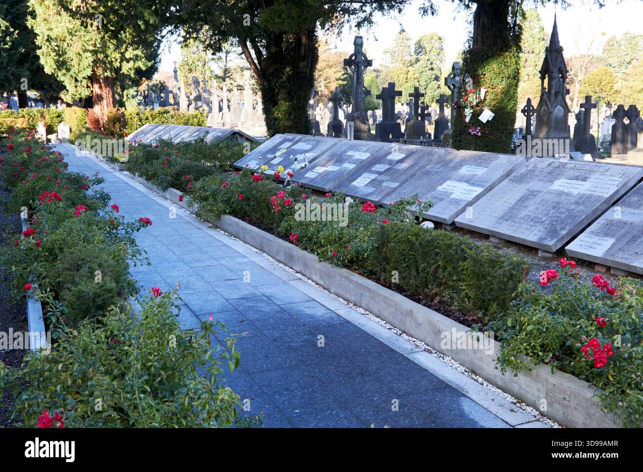 memorial garden cimitero glasnevin dublino, repubblica d'irlanda Foto Stock